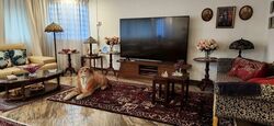 Cairnhill Plaza (D9), Apartment #568722661